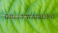 Greenwashing is shown using the text on the green leaf background Royalty Free Stock Photo