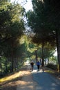 The greenway Los Molinos del Agua in Valverde del Camino, province of Huelva, Spain