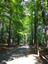 Greenway System around Shelley Lake in Raleigh, NC