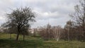 Greenwich Park in London during the winter Royalty Free Stock Photo