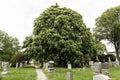 Greenwood Cemetery, Brooklyn, New York - Remember Fallen Heroes in all wars