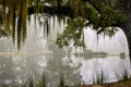 Greenwood plantation reflecting pond with ancient live oak and moss. Royalty Free Stock Photo