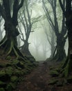 Portrait view of a mysterious forest with a narrow path surrounding in fog in the morning. Generative AI. Royalty Free Stock Photo
