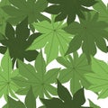 Greeny leaves seamless pattern on white background. Bright leaves endless wallpaper Royalty Free Stock Photo