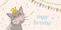 Greeting birthday card template. Color garland flags, cute cat in crown and confetti on pastel background. Royalty Free Stock Photo