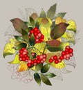 Greeting card with autumn berries and leaves. Autumn illustration.