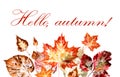 Greeting card with autumn leaves and the inscription `Hello, Autumn!` Royalty Free Stock Photo