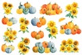Pumpkins, sunflowers, sea buckthorn on a white isolated background. Autumn watercolor composition. Greeting card.