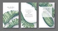 Tropical, trendy, greeting or invitation card, template design with green palm leaves.