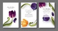 Spring, trendy, greeting or invitation card, template design with tulips flowers Royalty Free Stock Photo