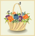 Greeting card with a basket with pansies. Royalty Free Stock Photo