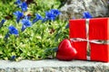 Greeting card with bavarian gentian and a heart and gift Royalty Free Stock Photo