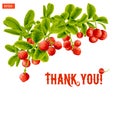 Greeting card with a branch of lingonberry