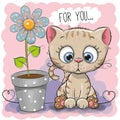 Greeting card Cat with flower Royalty Free Stock Photo