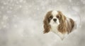 Greeting card with Cavalier king charles spaniel dog from a paper frame heart shape with painted snowflakes