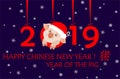 Greeting card for 2019 Chinese New Year with funny little piggy in santa hat, hanging paper cutting red numbers, hieroglyph pig an