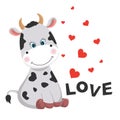 Greeting card Cute baby cow with glasses and an inscription love isolated in white background. Royalty Free Stock Photo