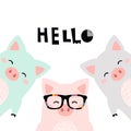 Greeting card with cute piglets.