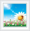 Greeting card with daisies