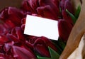 Greeting card among deep red tulip bouquet Royalty Free Stock Photo