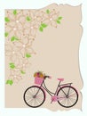 Greeting card design decorated with flowers and bicycle for birthday celebration concept.