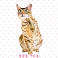 Greeting card design. Watercolor portrait of bengal cute cat with dots, stripes on hearts background