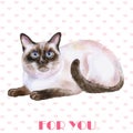 Greeting card design. Watercolor portrait of siamese black and white short hair cat isolated on hearts background