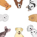 Greeting card with different types of small medium and large mixed breed dogs