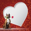 Greeting card with a dog with rous and frame in the shape of heart.