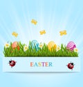 Greeting card with Easter colorful eggs and camomiles in green g