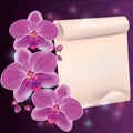 Greeting card with exotic flower orchid and paper