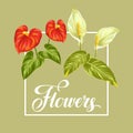 Greeting card with flowers spathiphyllum and anthurium