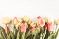 Greeting card with fresh yellow and red tulips with water drops on blue paint wooden background; copy space, Frame with tulips