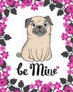 Greeting Card with funny Pug Royalty Free Stock Photo