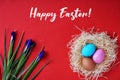 Greeting card happy easter colored eggs and nest