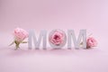 Greeting card for Happy mother day. Seasonal nature background. Beauty concept. Royalty Free Stock Photo