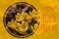 Greeting card hello march Welcome card the beginning of spring