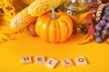 Greeting card with hello text. Composition with pumpkin, autumn leaves, sunflower, grape, corn and berries. Cozy autumn mood
