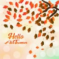 Greeting card with inscription Hello Autumn and hand drawn watercolor fall leaves Royalty Free Stock Photo