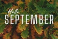 Greeting card with the inscription Hello September