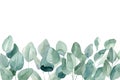 Greeting card, invitation, postcard with eucalyptus on isolated white background, watercolor illustration