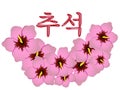 Greeting card for the Korean Chuseok holiday. Harvest and Autumn Day. Persimmon fruit scroll. A stock rose or hibiscus is the