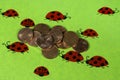 Greeting card with ladybirds and cent coins Royalty Free Stock Photo