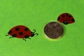 Greeting card with ladybirds and cent coins Royalty Free Stock Photo