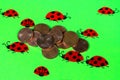 Greeting card with ladybirds and cent coins Royalty Free Stock Photo