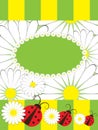 Greeting card with ladybirds and chamomile