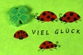 Greeting card with ladybirds and cloverleaf Royalty Free Stock Photo