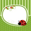 Greeting card with ladybug.
