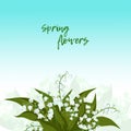 Greeting card.Lilly of the valley - May bells, Convallaria majalis with green leaves on a blue background. Royalty Free Stock Photo