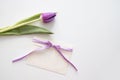 greeting card mockup. bouquet of purple tulips isolated on a white background. space for text. Royalty Free Stock Photo